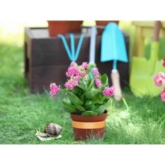 Měděná samolepicí páska proti slimákům – 4 m