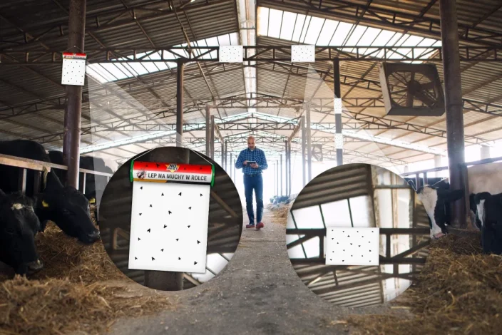 Lep na mouchy v rolce 0,25x7,6m