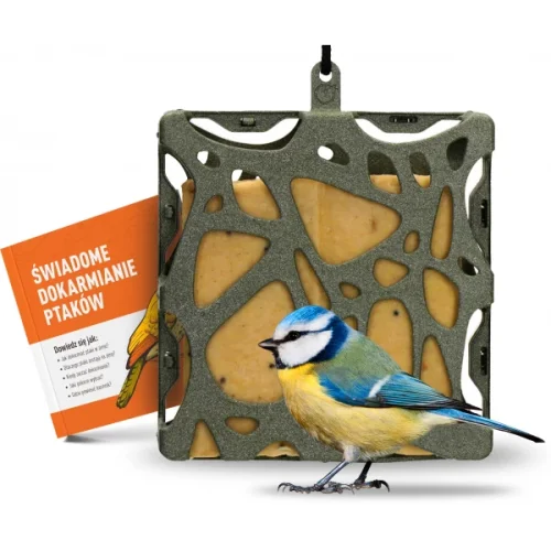 Moderní krmítko pro ptáky na tukové bloky k zavěšení Anna