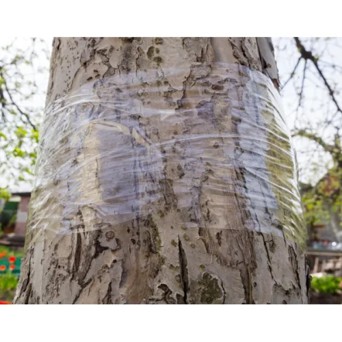 Lepící páska Tree Guard proti hmyzu – 5 m