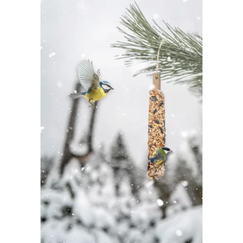 Krmivo pro volně žijící ptáky. Obilné tyčinky, ptačí příchutě 55g.