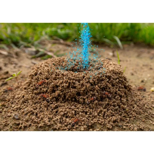 Prášek na mravence NO Pest, granulát 100g