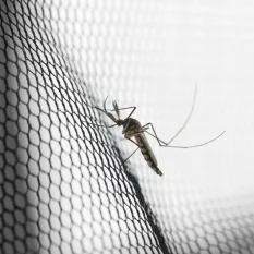 Magnetická moskytiéra na balkonové dveře, samouzavírající, černá, 140x220 cm, Silent Screen No Pest®