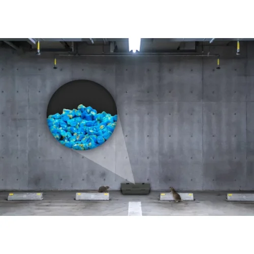 No Pest - jed na krysy, myši, hlodavce - modré pelety, 1kg