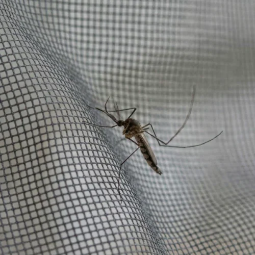 Magnetická moskytiéra na balkonové dveře, samouzavírací, antracitová, 100x220 cm, Silent Screen No Pest®