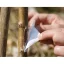 Lepící páska Tree Guard proti hmyzu 5m
