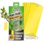 Lepy proti hmyzu 25×10 cm – 5 ks