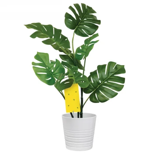 Lepy proti hmyzu 25×10 cm – 5 ks