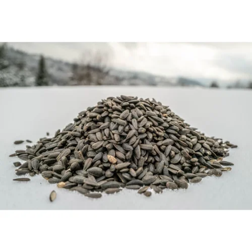 Krmivo pro sýkory a ptáky, černá slunečnicová semínka, 1kg.