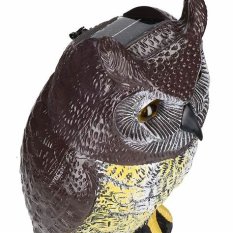 Solární plašič ptáků Scary Owl No Pest – pohyblivá sova se zvukem