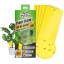 Lepy proti hmyzu 25x10cm, 5ks