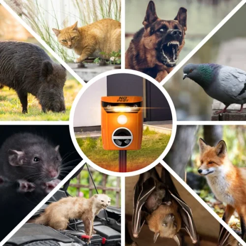 Odpuzovač psů a koček Flash Guard