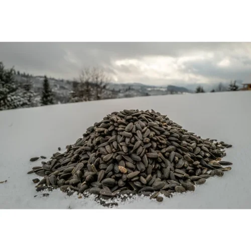 Krmivo pro sýkory a ptáky, černá slunečnicová semínka, 1kg.