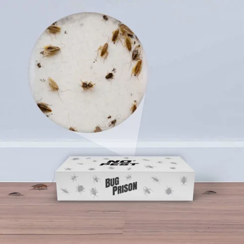 Past Bug Prison na hmyz, rybenky, šváby, brouky, štěnice a pavouky 2 ks.