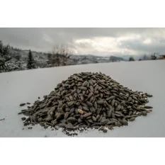 Krmivo pro sýkory a ptáky, černá slunečnicová semínka, 1kg.